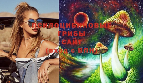 амф Костерёво