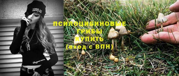 амф Костерёво