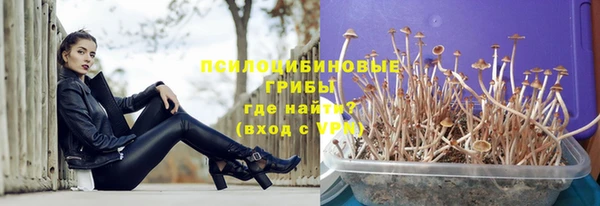 хмурый Коряжма