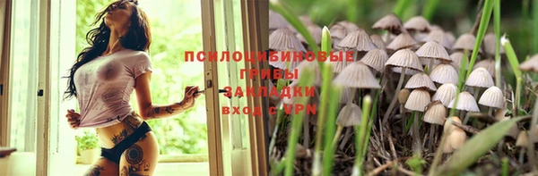 хмурый Коряжма