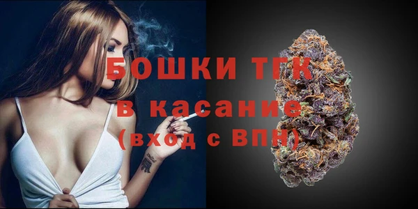 амф Костерёво