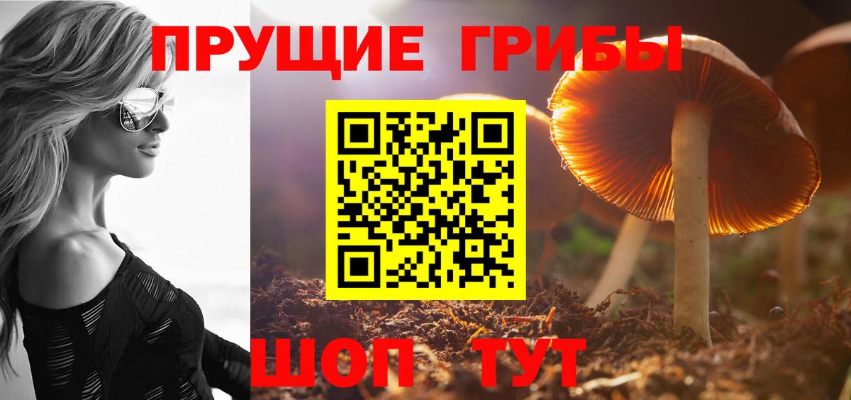 Галлюциногенные грибы MAGIC MUSHROOMS  Волгодонск 