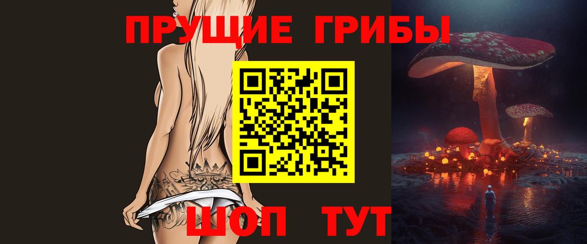Волгодонск  Галлюциногенные грибы прущие грибы  Вход с VPN 